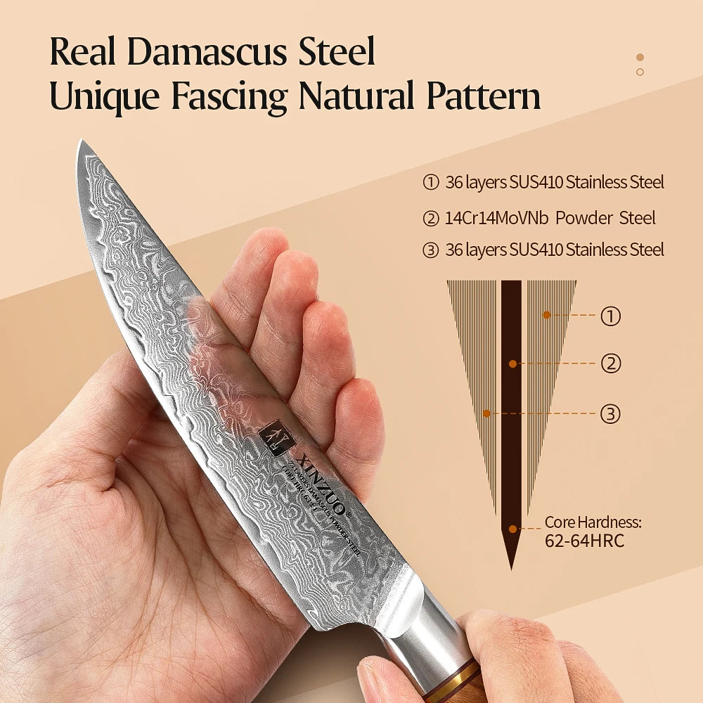 Japanese Damascus VG10 Steel Razor Sharp Blade Cut Lamb Chops Pork Wood Handle 5" inch Steak Kitchen Knife Set